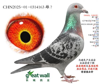 16.����鵽�Ѫ���.0314163