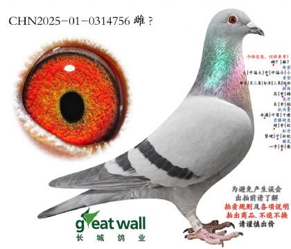 17.��ʱ��911��Ѫ���.0314756