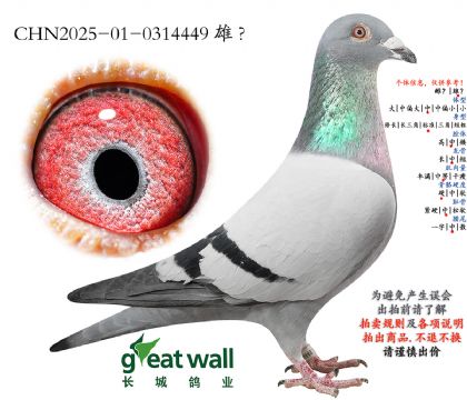 18.�¿��������.0314449