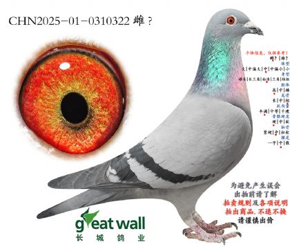 2.���ǹ����Ĺظ���7�Ӵ�.0310322