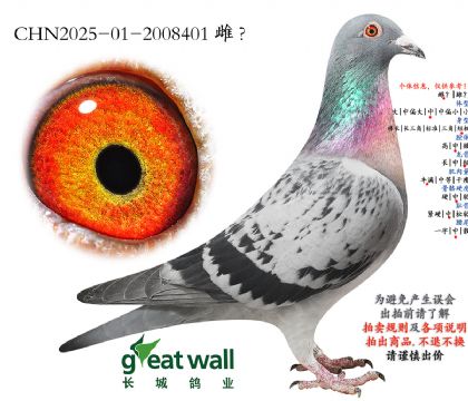 1.����˹���Ӵ�.2008401