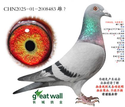 5.���Һ����.2008483