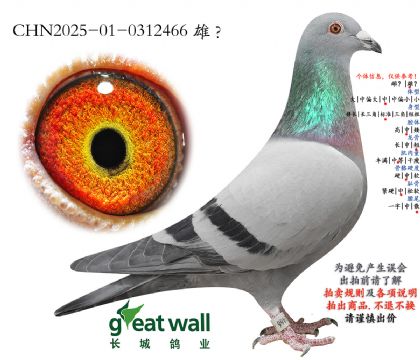 4.��ʱ��911����Ӵ�.0312466