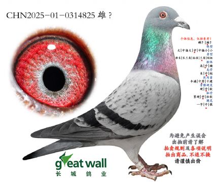 6.�������4���.0314825