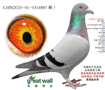 7.����ȫ��017���.0314887