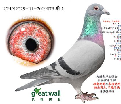 9.�ڳϼ�����ƽ��.2009073