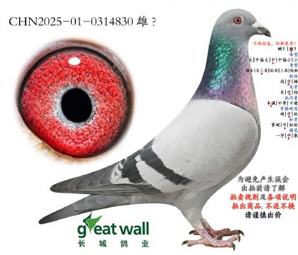 11.���⹫��˫�ؼ����Ӵ�.0314830