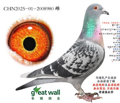 12.������900���.2008980