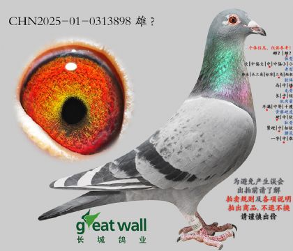 14.��ʱ��911��Ѫ���.0313898