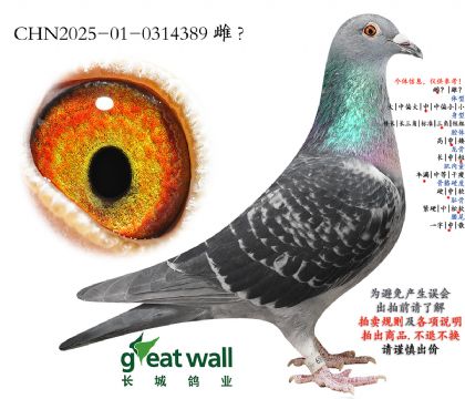 16.��ȱ�ݽ�Ѫ.0314389