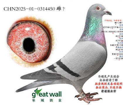 17.�¿��������.0314450