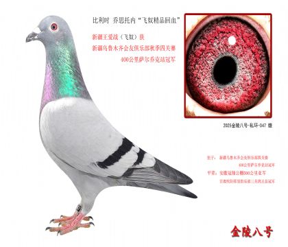 1������ʱ ��˼���ڡ���ū��Ʒ��Ѫ��