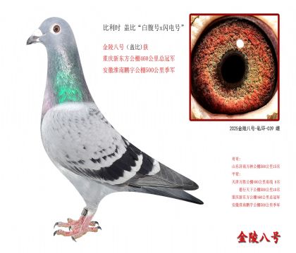 2������ʱ �Ǳȡ��׸���x����š�