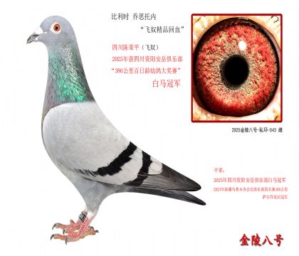 3������ʱ ��˼���ڡ���ū��Ʒ��Ѫ��