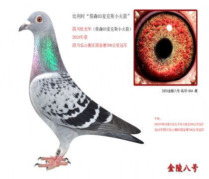 10������ʱ��ղɭ03���˹С�����