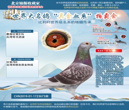 红狐狸19-1723673雌