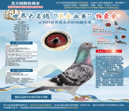 马塞尔.沃特斯原舍“狮王号直孙”