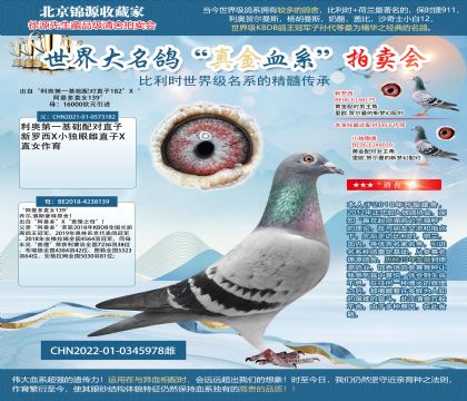 利奥阿曼多22-0345978雌