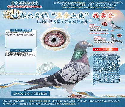 利奥19-01-1723683雌