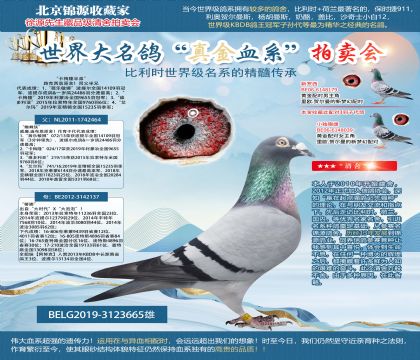 路克西翁原舍-“卡梅隆半弟”