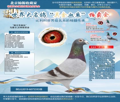 马塞尔.沃特斯原舍“狮王号直孙”