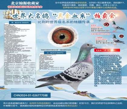 “奥林匹克基特尔006全兄弟”X最佳基特尔全妹