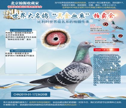 新罗西x小独眼雌X尼尔斯19-1723620雄