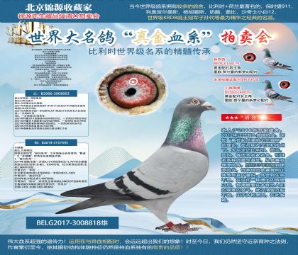 盖比·凡德纳比原舍-“鲁迪”X“鲁迪直女”