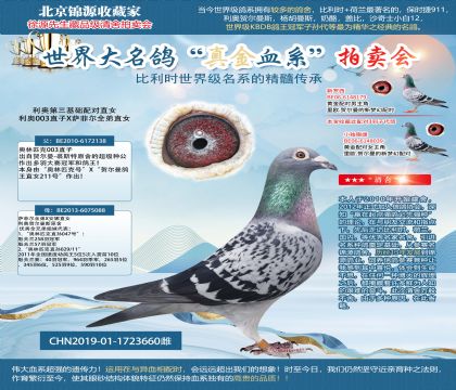 利奥003直子X萨菲尔全弟直女19-1723660雌