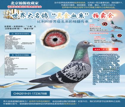 海伦大头彩X卡普大头彩19-1723678雌