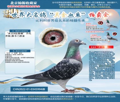 佛卡门-双重“巴可”X“凯蒂”雌