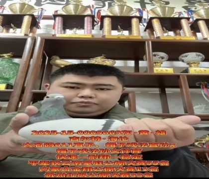 �Ƽ��룡������.����ñ��Ϸ��ֱ��Xñ��Ϸ����Ů