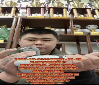 �ƹ�ɽ��������ѡ�����ǲ��ˡ����ض���ֱ��X�����ض���ֱŮ