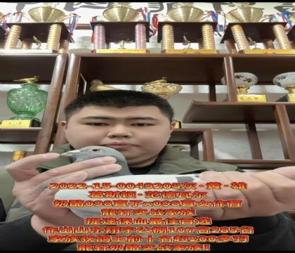 ���ٷ�������˹��.�����߶�����098ֱ��X098ֱŮ��������