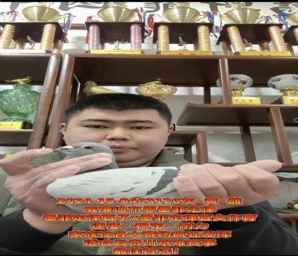 ɽ�����ǣ������ϲ�����ī�ƶ��ɡ�ֱ��X��ī�ƶ��ɡ�ֱŮ