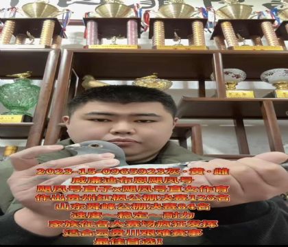 ����ӮǮ�����������ϲ�����쫷�š�ֱ��X��쫷�š�ֱŮ