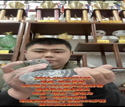 �г������ٶȸ�ϵ�����ºض���˹003�߱��ֽ��׻�Ѫ