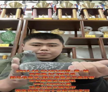 ���ٱ�Ѫ����˹.����Ұ����ֱ��XֱŮ��������