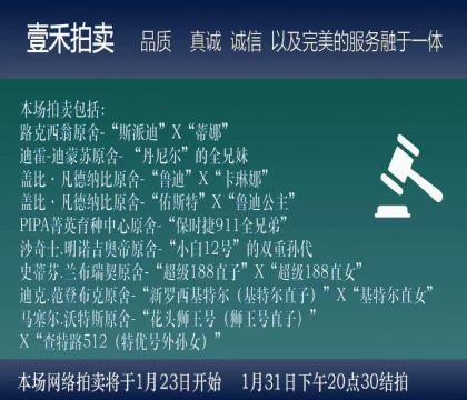 拍前建议阅读此说明