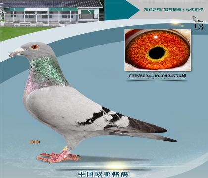 �Ǳ�ԭ�ᳬ������ŷֱ��727X��ӥ��127