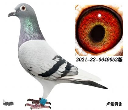 171.Ӣ��˹X�ܽ�ͷ��Ů