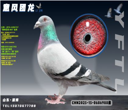 ���ºն���˹����ƥ��003X��ֱ��Ů