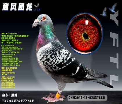 ���ºն���˹003ֱ��X��ֱ��Ů