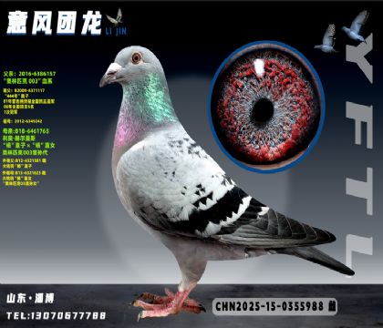 ���ºն���˹����ƥ��003X��ֱ��Ů