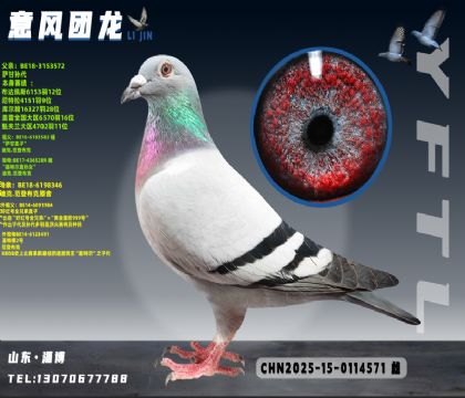 ���ǲ�������ֱ��X�ú��ȫ�ֵ�ֱ��Ů