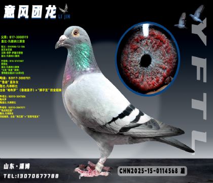 �Ǳȸ������ֵ�ֱ��X³��ֱ��Ů