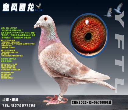 ���ǲ��˺ú��ֱ��X���ǲ��˻�ֱ̹Ů