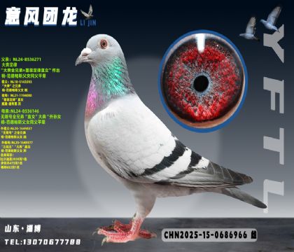 ��ȫ�ֵ�X���޺�ȫ�ֵ�ֱŮ