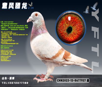 ���ǲ��˺ú��ֱ��X���ǲ��˻�ֱ̹Ů