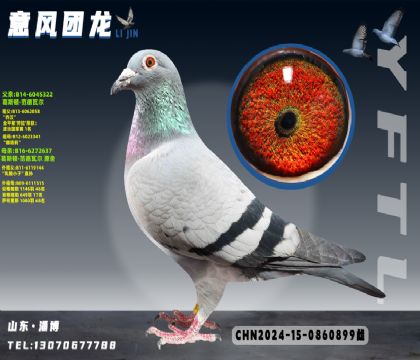 ��˹�� �����߶� �Ǻ�;ֱŮ